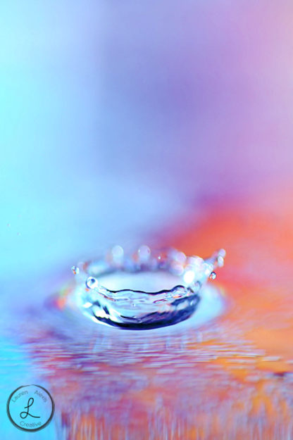 macro photography, macro water drops, macro drop crown, macro still life, 