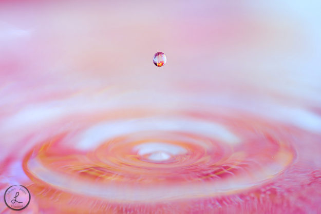 macro photography, macro water drop, macro still life, 