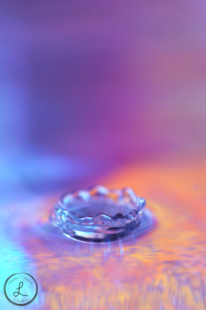 macro photography, macro water drops, macro drop crown, macro still life, 