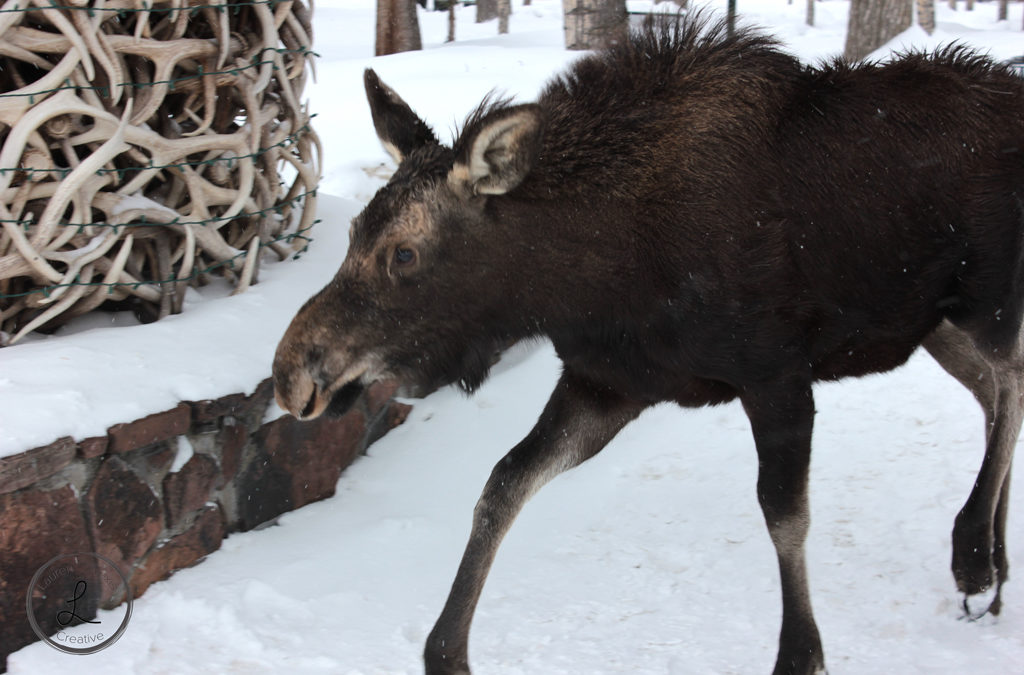 Grand Teton National Park