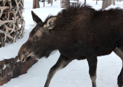 Grand Teton National Park