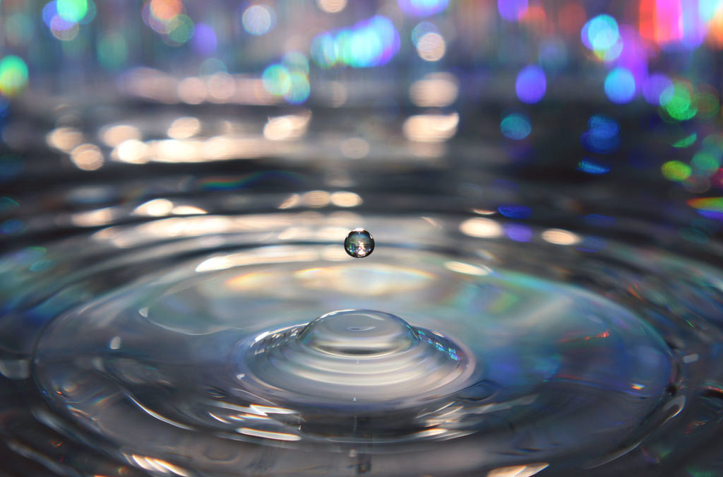 Macro Water Drops